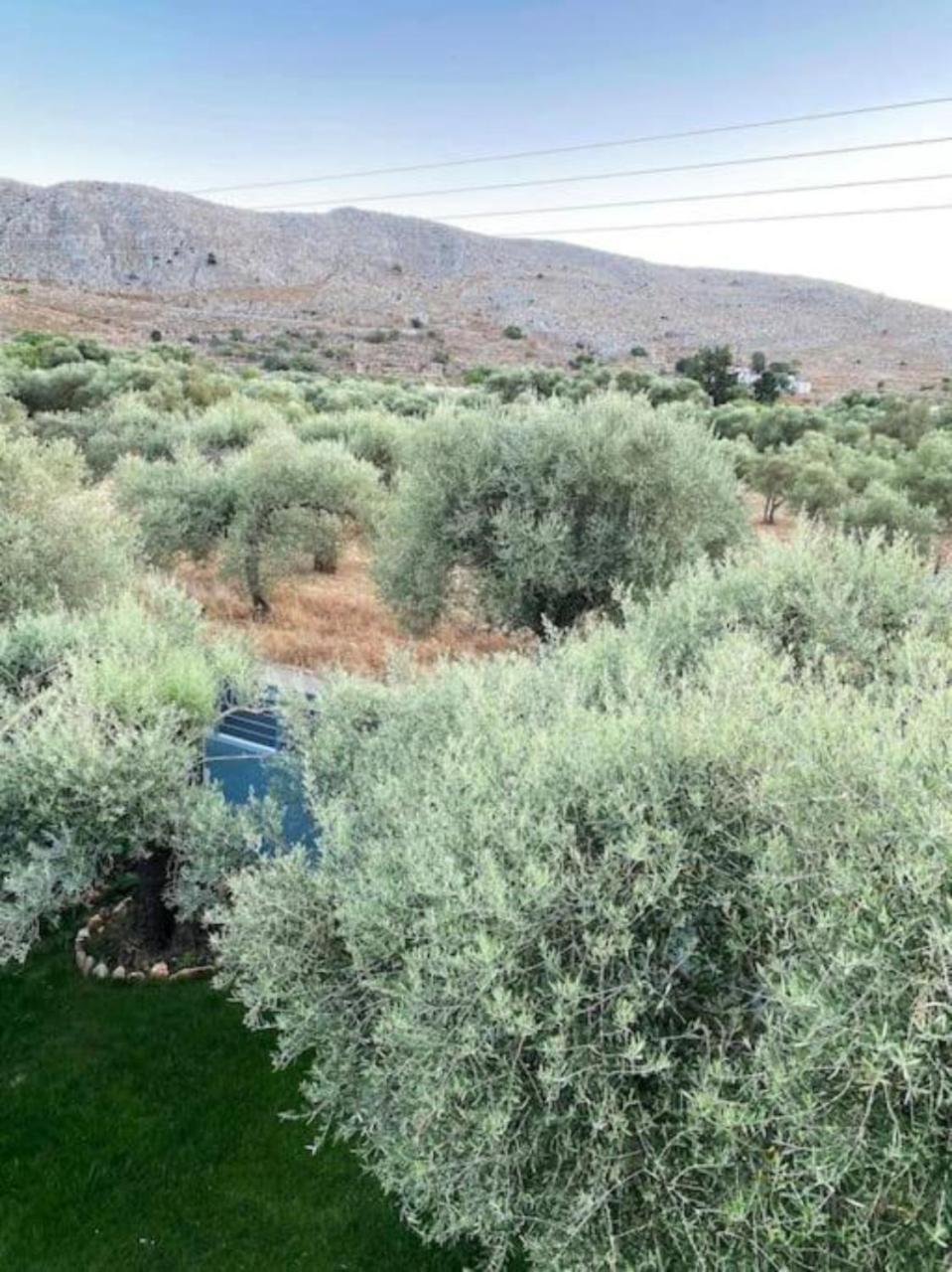 Olives Villa Sinoikismos Kambos Екстер'єр фото